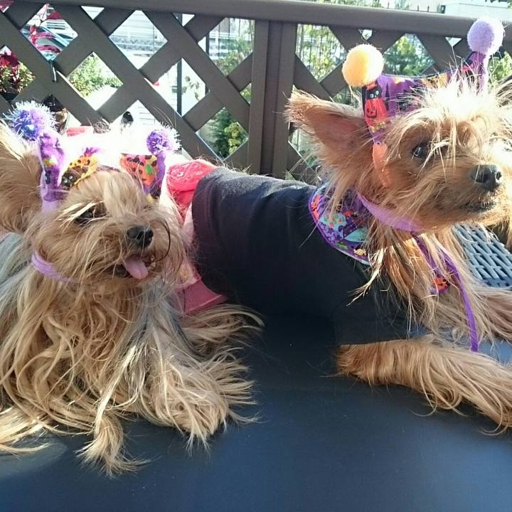 722d0e44 470e 4087 ac6b 030483576af8