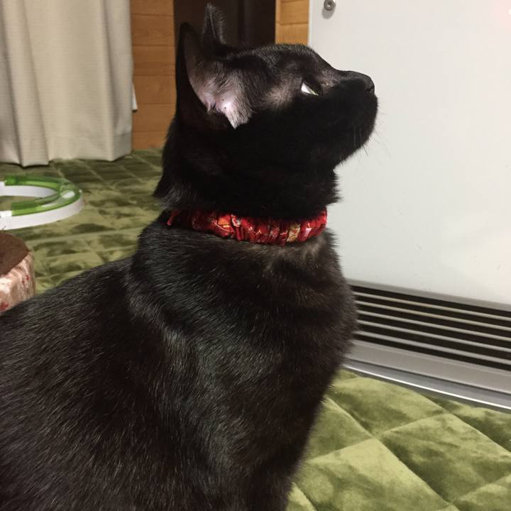 722d364f 0171 4fbc 9ee0 febbfd0ef02d