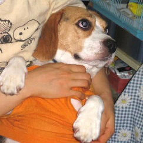 722d6b42 5f17 46a5 8e80 eac3fabe8fa8