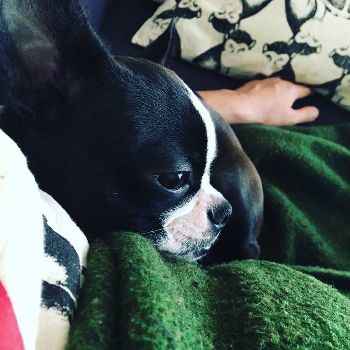 722d9ac8 40a9 41b9 80c4 3e5af3994cf0