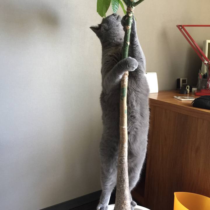 722eb903 031e 4d9a 8f7f e57a8456b7a1