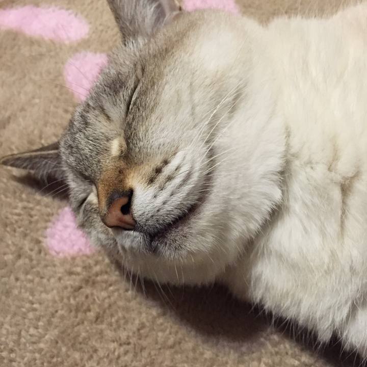 722ee8f3 1256 4700 868d 96db16546a2a