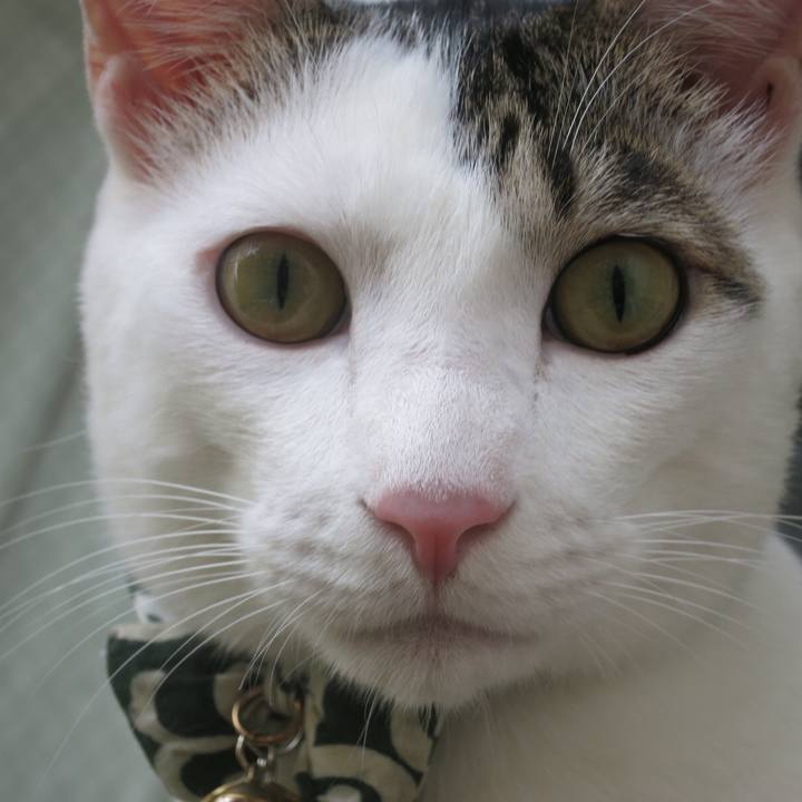 722f2969 f910 4efb 8a14 a4578c2b421f