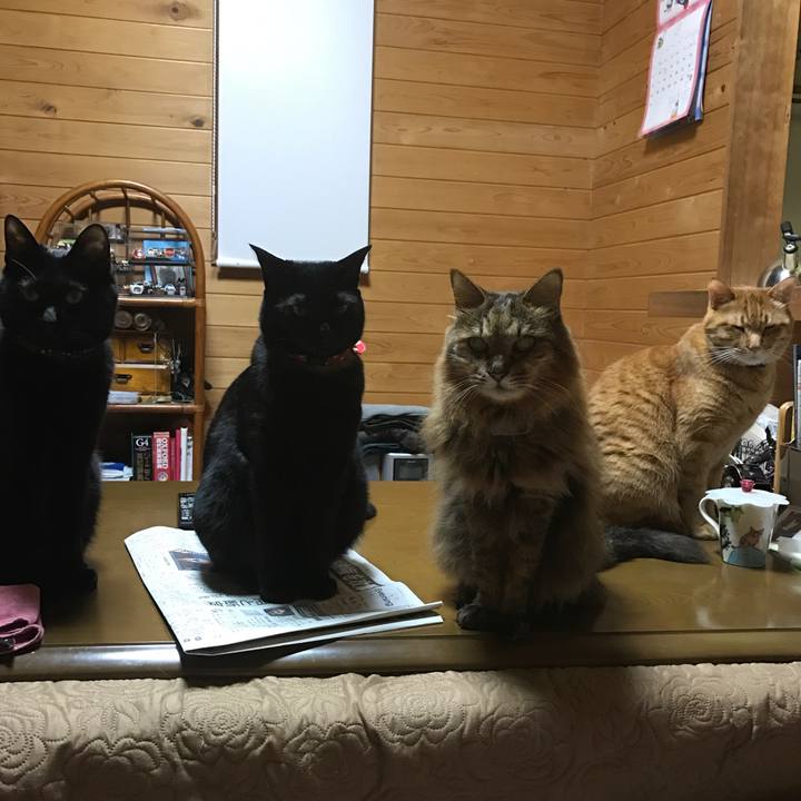 722f4054 e3d3 4574 8457 271c8d5a9ba6