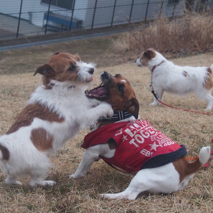 7230386f 2a10 467f 9556 df2ee362a74b