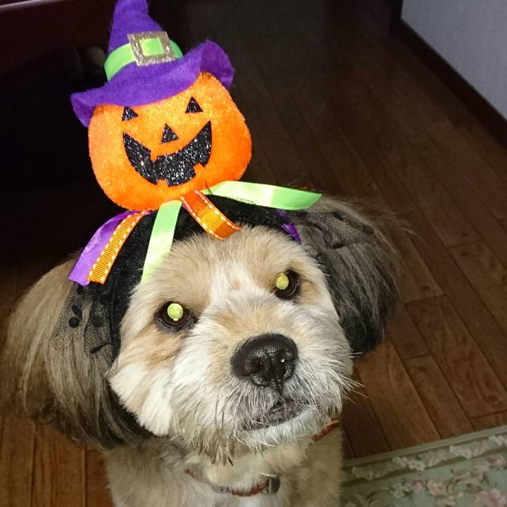 72309f84 de83 4341 8548 fbedce301f03