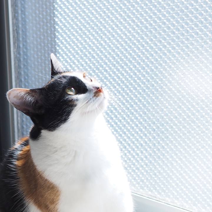 7230c6d2 6976 49b7 aa1f f207f7df0b0f