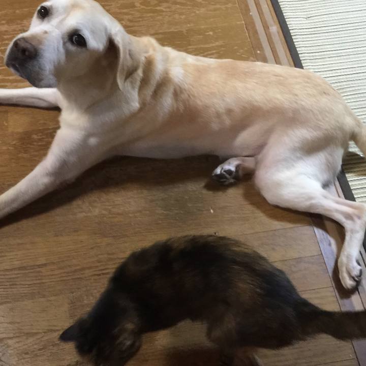 7230cd6c 9a6a 4626 ac03 6226893a23a2