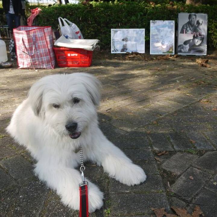 7231bca4 2c1d 4228 991f cfdd42aa2f2b