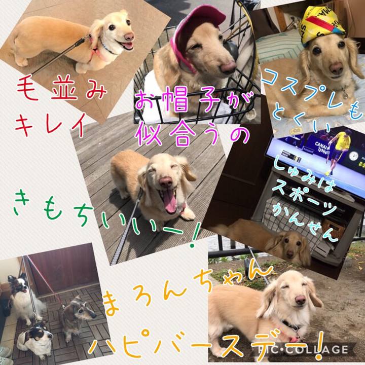 7231f127 1ee2 473b 94a6 0a032547a45a