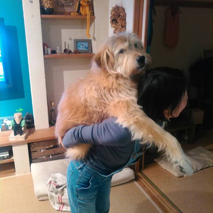 72323e58 164b 4d2d 9aac 822ee1b3bb4b