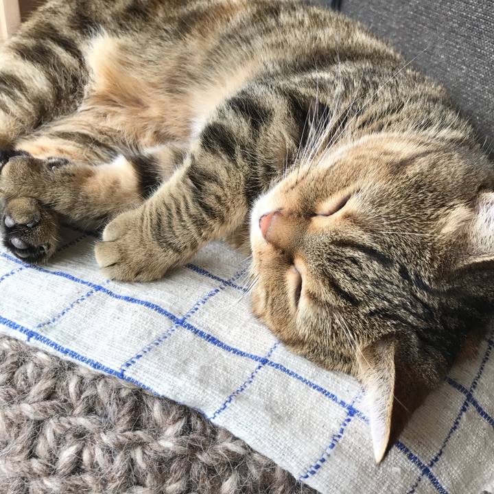 7232a517 ce65 43ca a85c 98d71c9ffa38