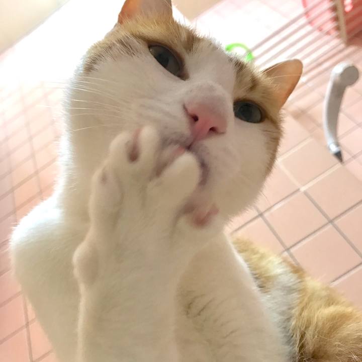 72330a22 45fd 4fba 9146 257727062eb1