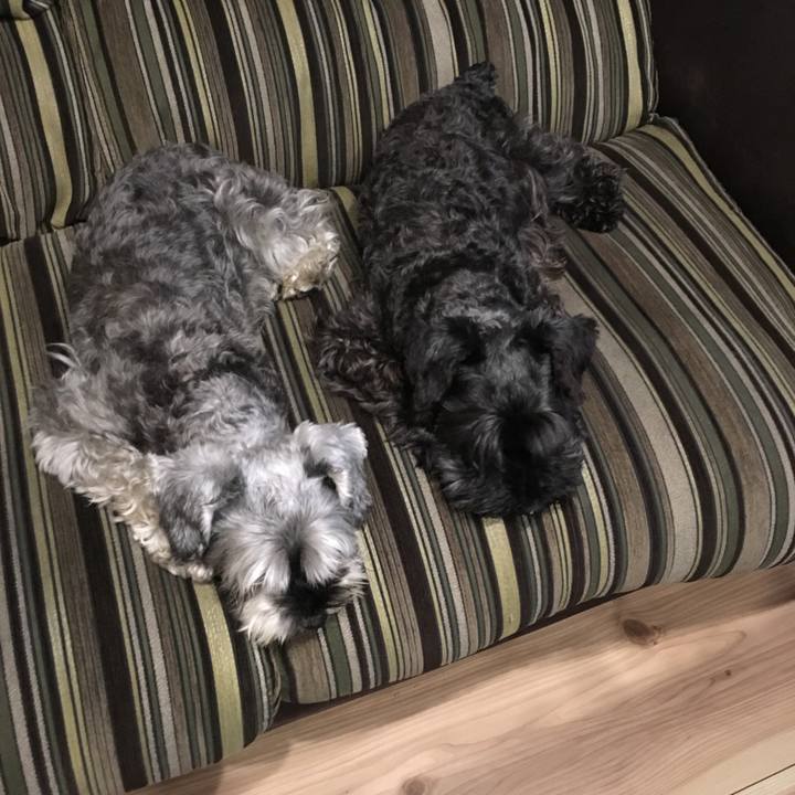 72335293 8911 421c bd79 91544ecbcfba