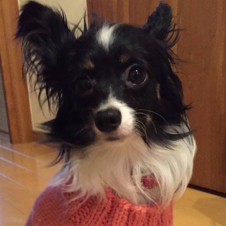 72336461 325f 4e55 ab57 eec40bff132f