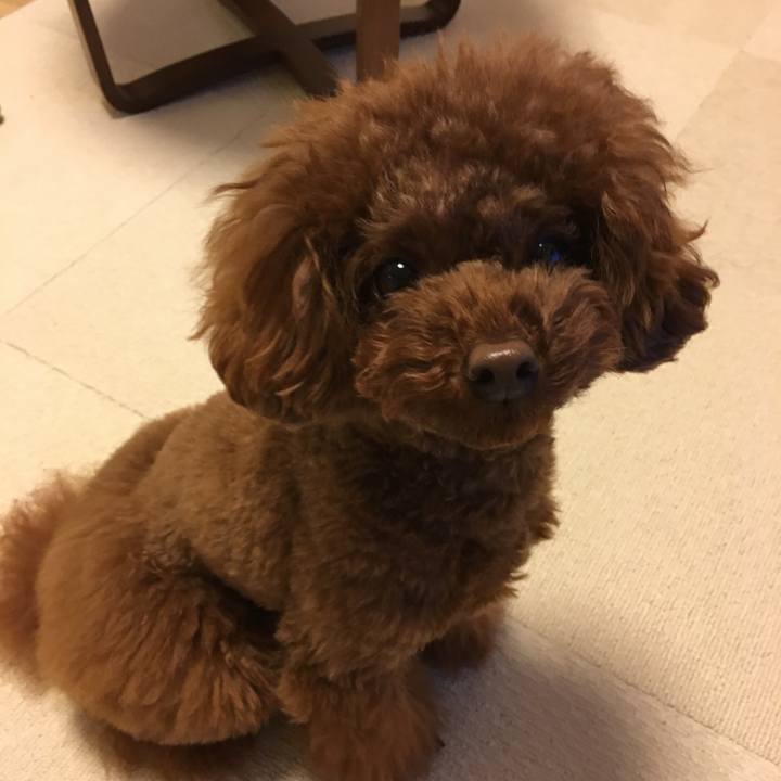 72336a72 5483 4310 a8d9 780d33445300