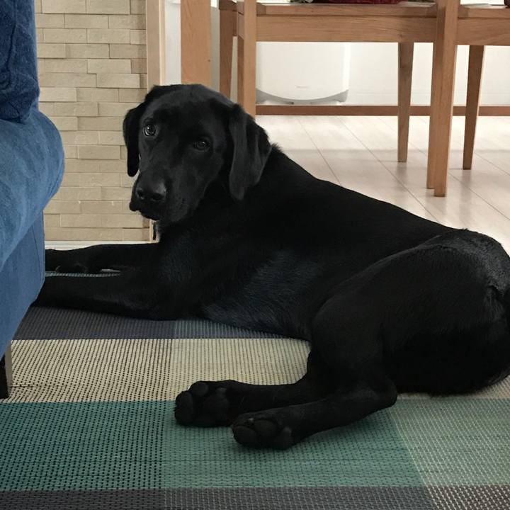 72339aab ca3a 476a 9696 37680aefdc26