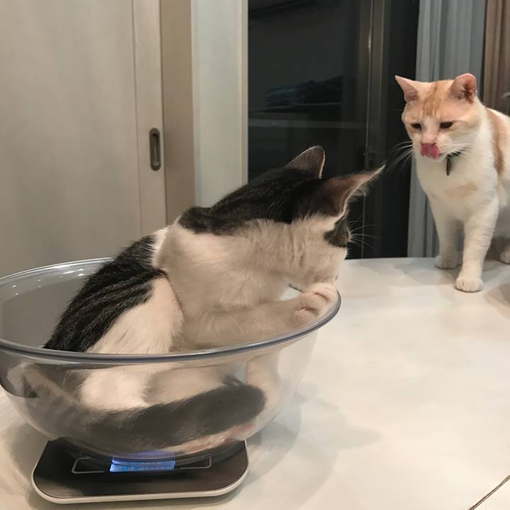 7233a48d fbf4 44c0 bbf0 3b93bb30f2cc