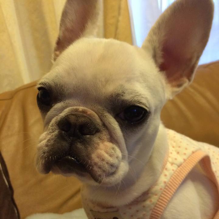 7233b4e6 b7bc 45e2 8b49 1a3ab3386810