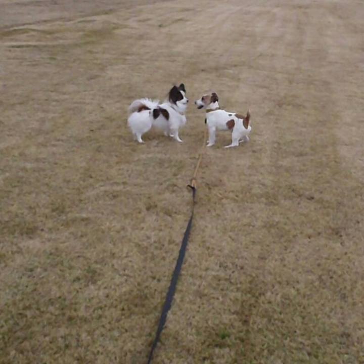 7233b715 cb31 412e 8d3c 3a762a68cf0a