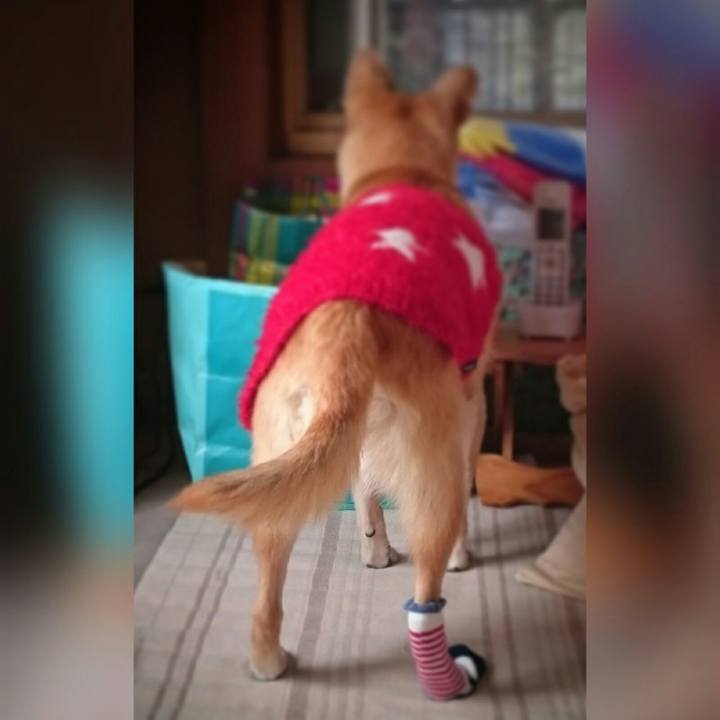 7233fab5 5125 4d40 b726 7c1b4a25a6df