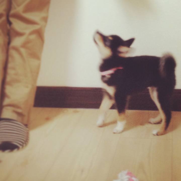 7234111b 9fe6 4c75 922f 49520ae644e1