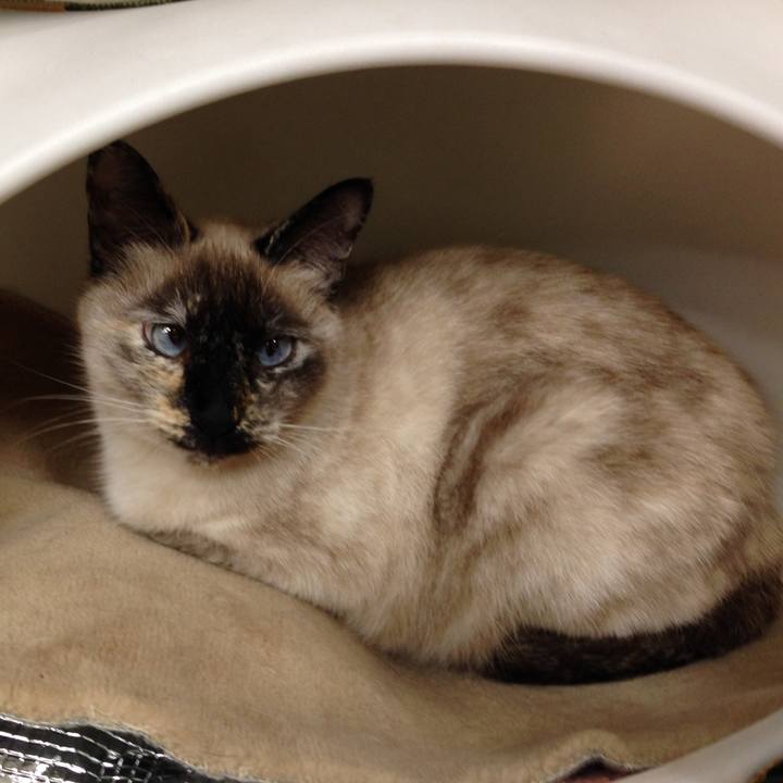 72345e91 dabf 4a47 94a7 1078c0f91e70