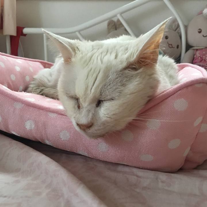 72346c43 f572 46dc a51b 2a3912d2a5f8