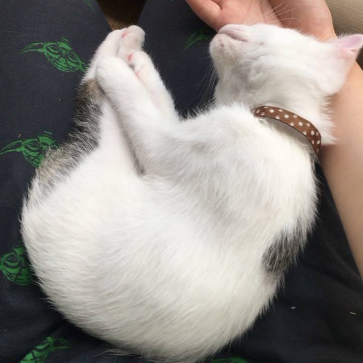 7234b9f6 6ecf 4598 8242 893148dec797