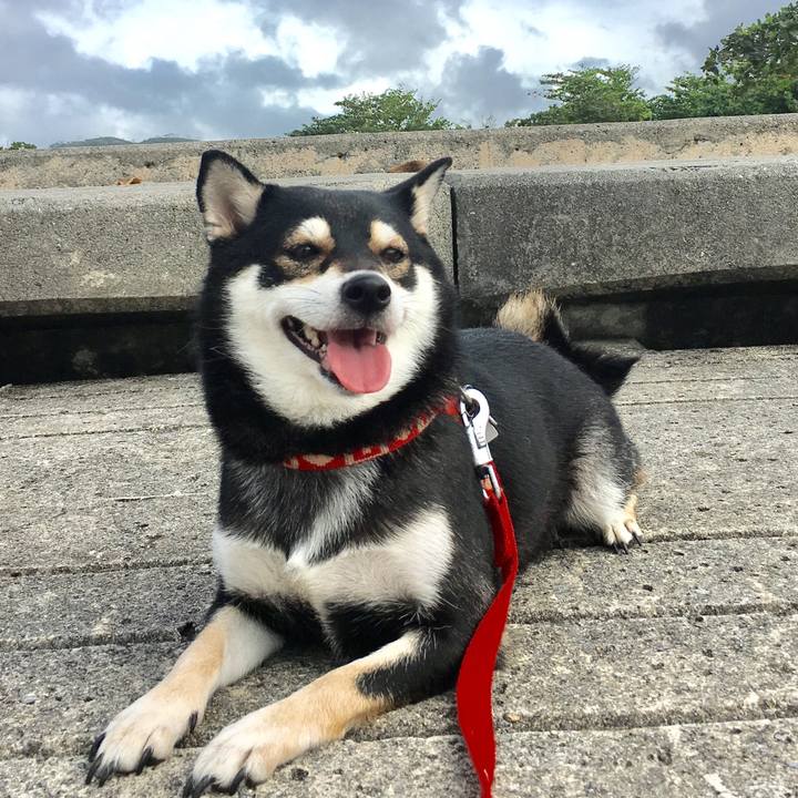 7234efec f5fc 4cb3 a637 5c8dc05be7cf