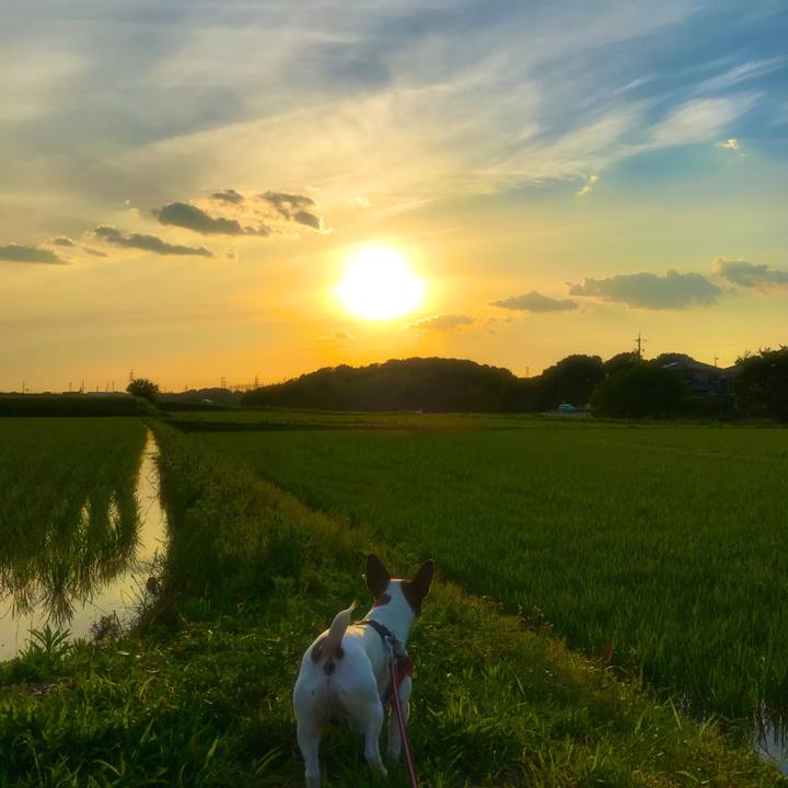 723534de 71e3 478c ba7d c76c9ef10855