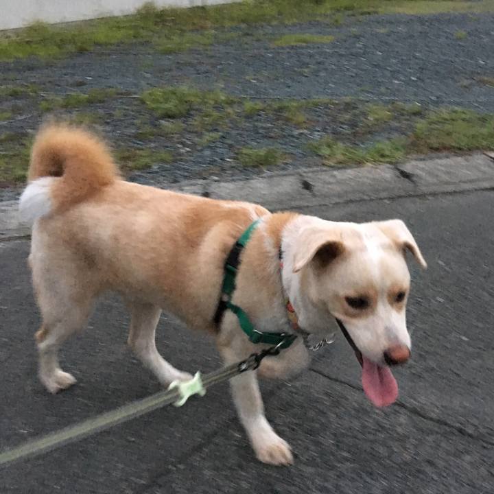 7235578d f84e 4445 bb83 feb8c5c6a3cf