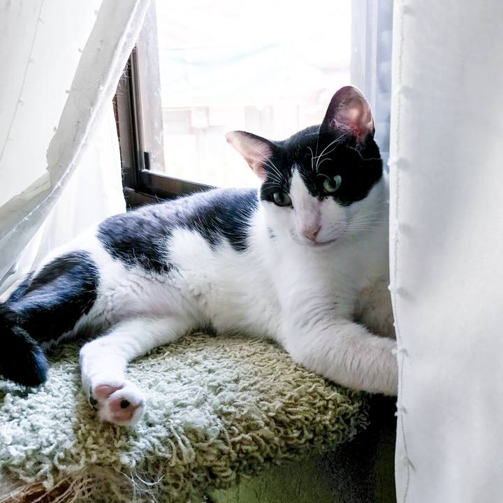 7235cec5 83f2 4b93 9284 f897b055cb57