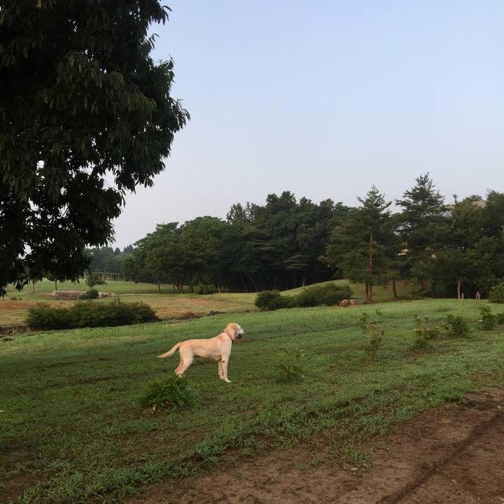 7235eb5c 9fff 4f12 99f6 51d9aa5a0ef2