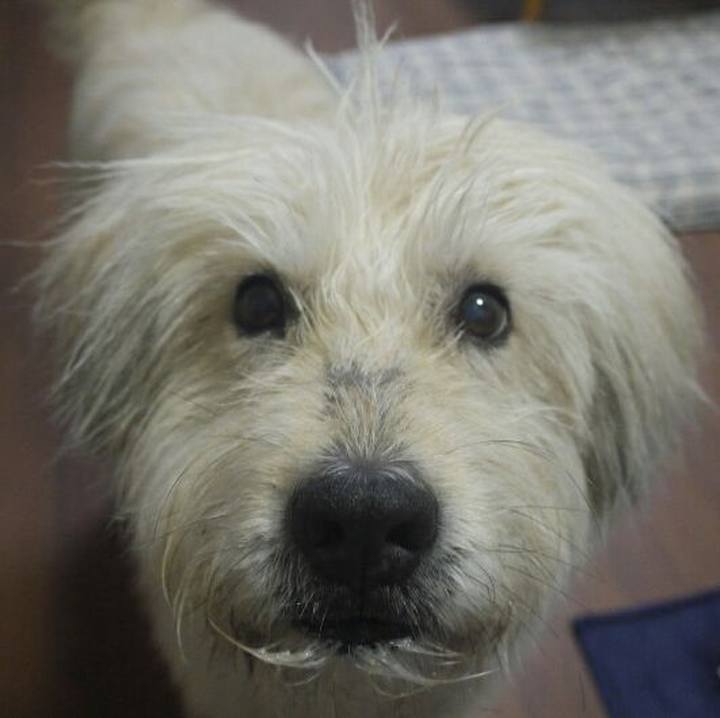 72361699 e966 4d29 88e4 6e5234c0d9a0