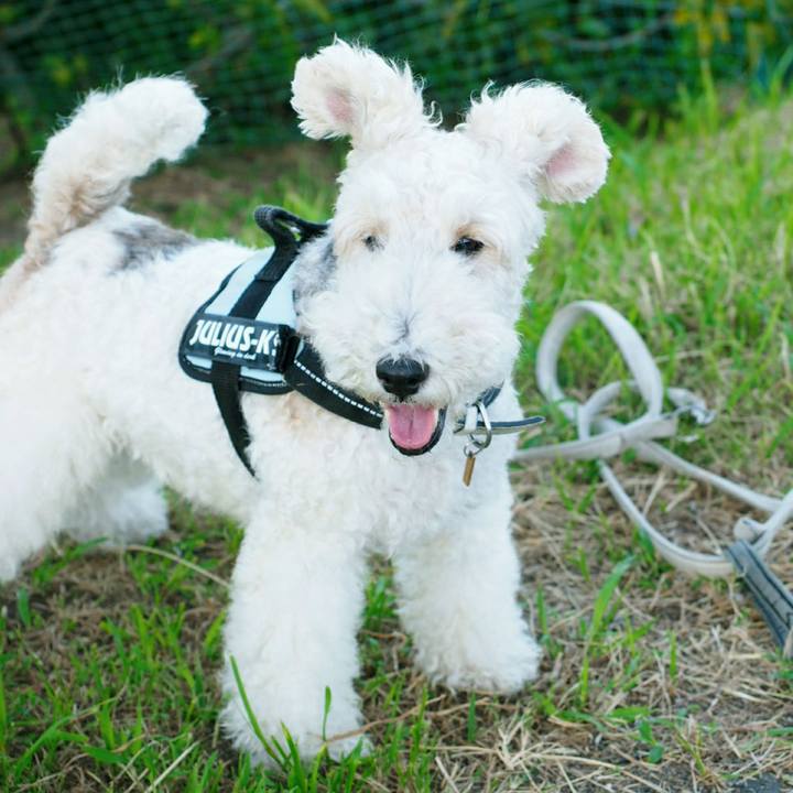 7236b8e9 4c00 4f6b 9fdb aed12248b237