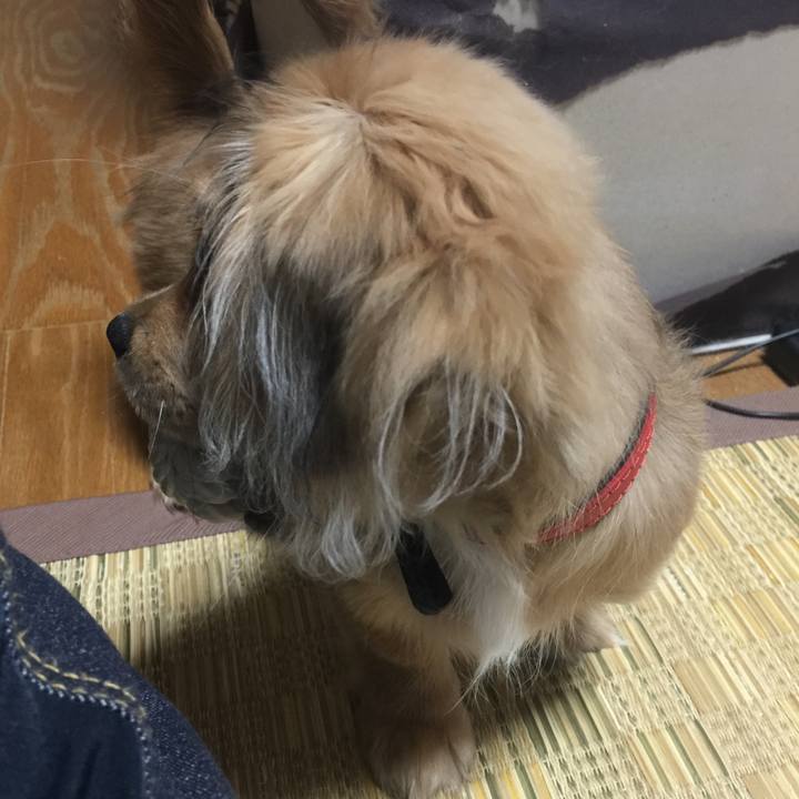 7236f146 5f85 45fe 8100 86337e6e6555