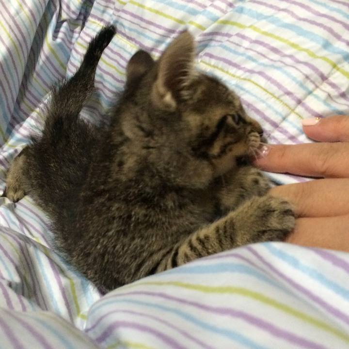 7237dbac e08f 436c a0d7 57b60a4e850e