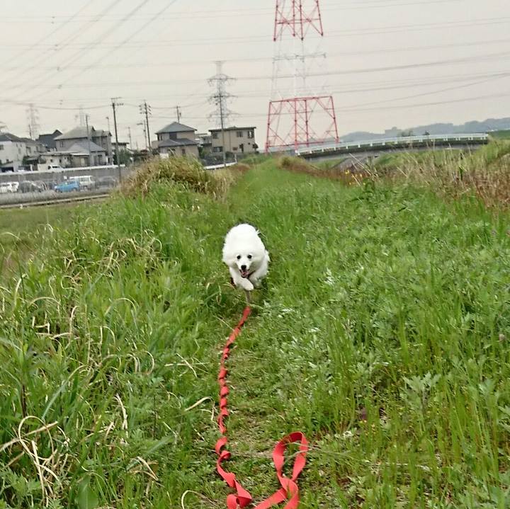 7237e210 2271 4027 8229 1b24ac96d084