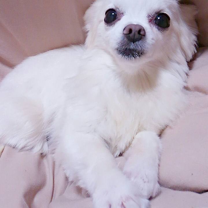 723848c2 884f 4b68 aa85 504dccfd2559