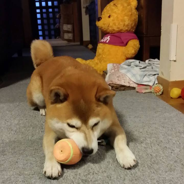 7238b903 268c 4963 b4bb 7d68596e2a55