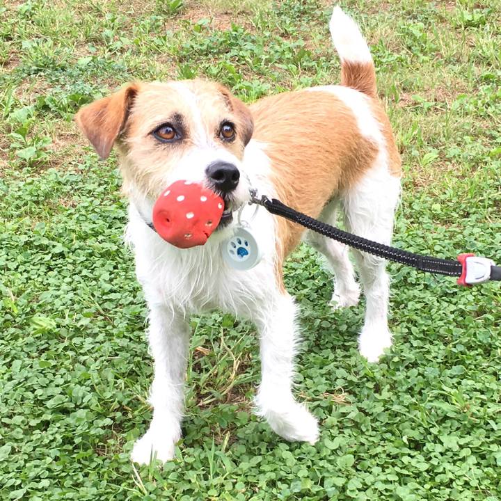 723955f3 0fc5 4cb7 85f9 fea11911629f