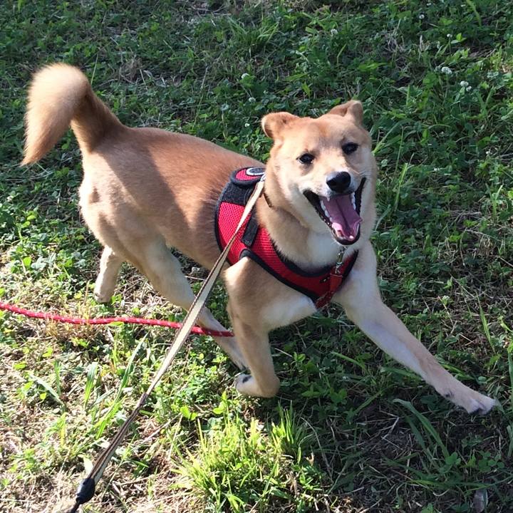 7239561b 0c55 427f 947c 77b843072581