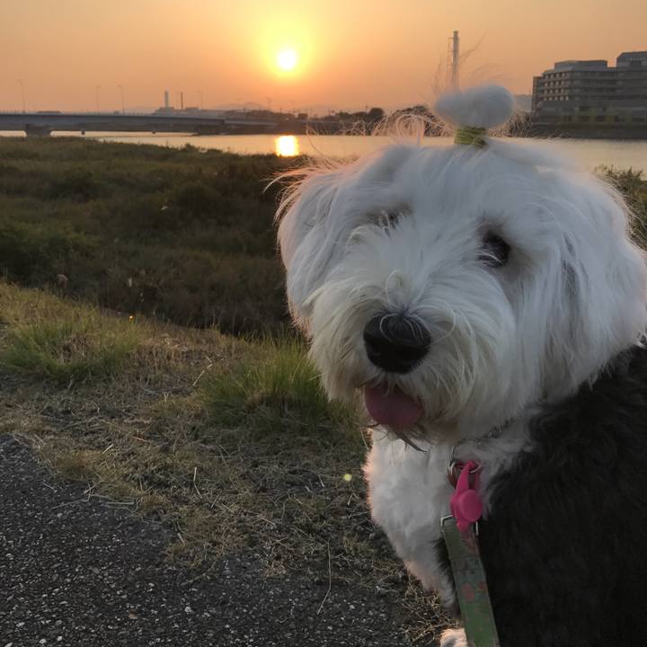 7239c3c2 d57e 4124 bb53 b47546fbcf3a