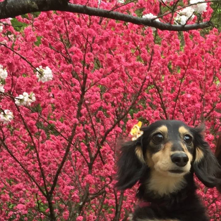 7239d19e 5049 48dd ad72 df99032cf9cc