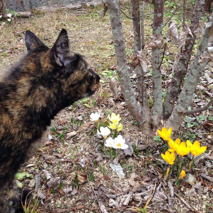 723a0651 1b97 442a a963 305e26fb6c16