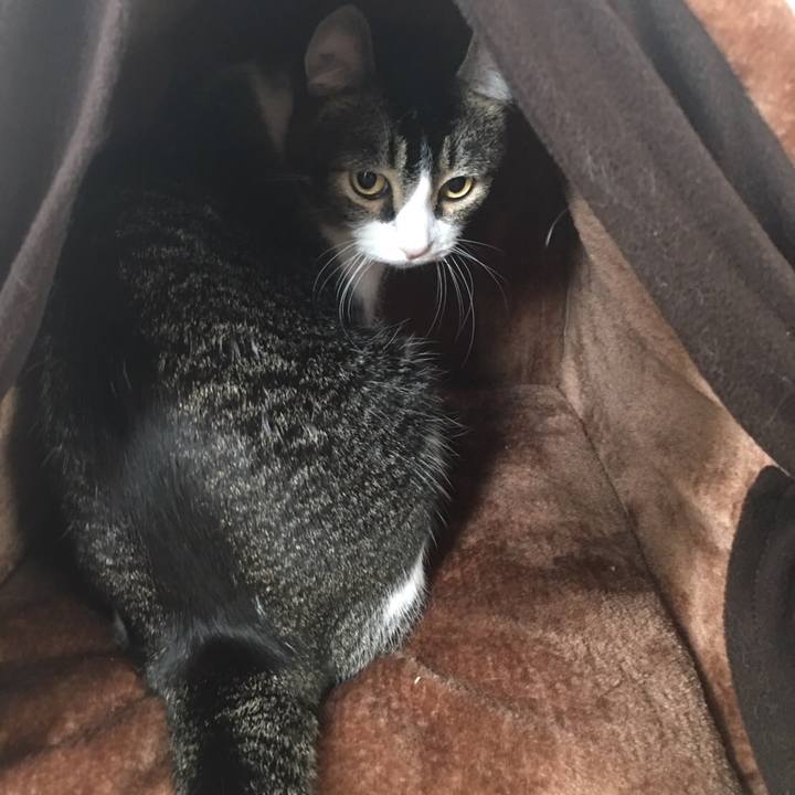 723a1a49 e163 47d0 8625 509308743fd4