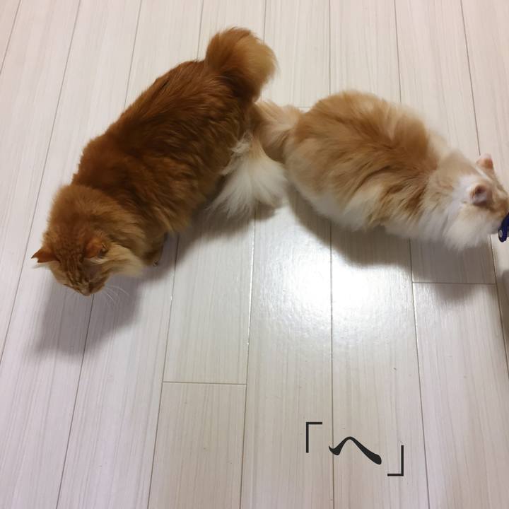 723a2659 1942 4100 a2fa b01563727d60