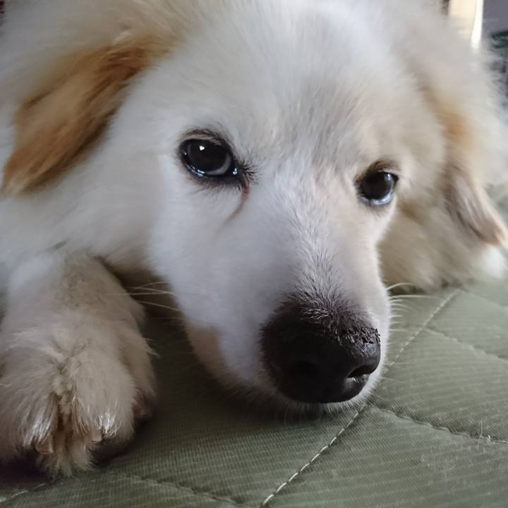 723aa749 d452 4d27 b3fc b93ba2f3c462