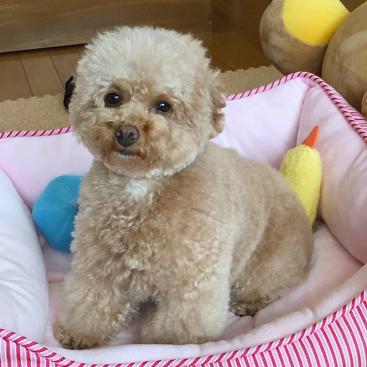 723bc5e9 f25e 40e3 b8cf 19de879dfc24